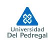 Universidad del Pedregal